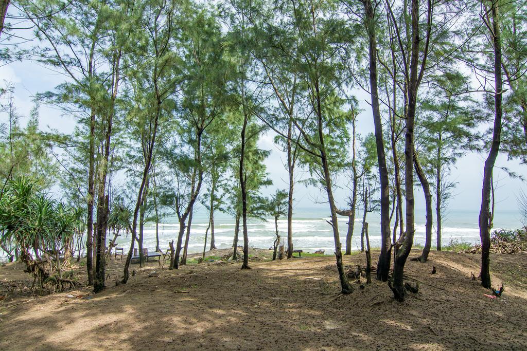 Shadyside Villa Hoi An Dış mekan fotoğraf